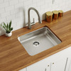 Elkay Lustertone Classic Stainless Steel 21-1/2" x 18-1/2" x 4-7/8", Single Bowl Undermount ADA Sink