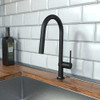 Hansgrohe 72846671 Talis N High Arc Kitchen Faucet, A-Style 2-Spray Pull-Down, 1.75 GPM in Matte Black