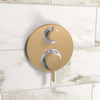 Hansgrohe 15757141 Ecostat S Thermostatic Trim with Volume Control in Brushed Bronze