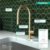 Hansgrohe 72800251 Talis N High Arc Kitchen Faucet, O-Style, 2-Spray Pull-Down, 1.75 GPM in Brushed Gold Optic