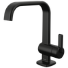 Brizo 65067LF-BL-ECO Allaria Single-Handle Lavatory Faucet 1.2 GPM: Matte Black