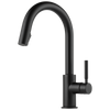 Brizo 63020LF-PC Solna Single Handle Pull-down Kitchen Faucet Chrome