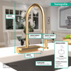 Hansgrohe 73837251 Aquno Select High Arc Kitchen Faucet, 3-Spray Pull-Down, 1.75 GPM in Brushed Gold Optic