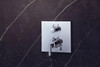 AXOR 39720001 Citterio Thermostatic Trim with Volume Control and Diverter in Chrome