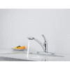 Delta Signature Pullouts 470-WE-DST Single Handle Pull-Out Water-Efficient Kitchen Faucet - Single Handle Lever: Chrome
