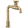Delta Broderick True Bar Kitchen Faucet in Champagne Bronze Finish - 1990LFC-CZ