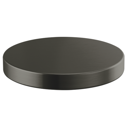 Brizo RP90934SL Rook Hole Cover: Luxe Steel