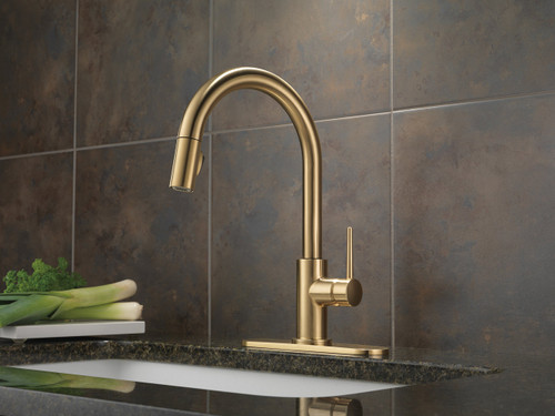 Delta Trinsic RP64070CZ Escutcheon & Gasket - 8" in Champagne Bronze Finish