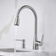 Blanco 442208 Atura Faucet with Pull-Down Spray 1.5gpm - Stainless