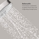Hansgrohe 04340820 Raindance S Shower Head 100 3-Jet, 2.0 GPM in Brushed Nickel
