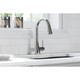 Elkay Gourmet Single Hole Kitchen Faucet with Pull-down Spray and Forward Only Lever Handle Chrome
