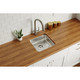 Elkay Lustertone Classic Stainless Steel, 16-1/2" x 16-1/2" x 5-3/8", Single Bowl Undermount ADA Sink