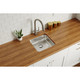 Elkay Lustertone Classic Stainless Steel, 16-1/2" x 16-1/2" x 5-3/8", Single Bowl Undermount ADA Sink w/Perfect Drain