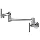 Elkay Avado Wall Mount Single Hole Pot Filler Kitchen Faucet with Lever Handles Chrome