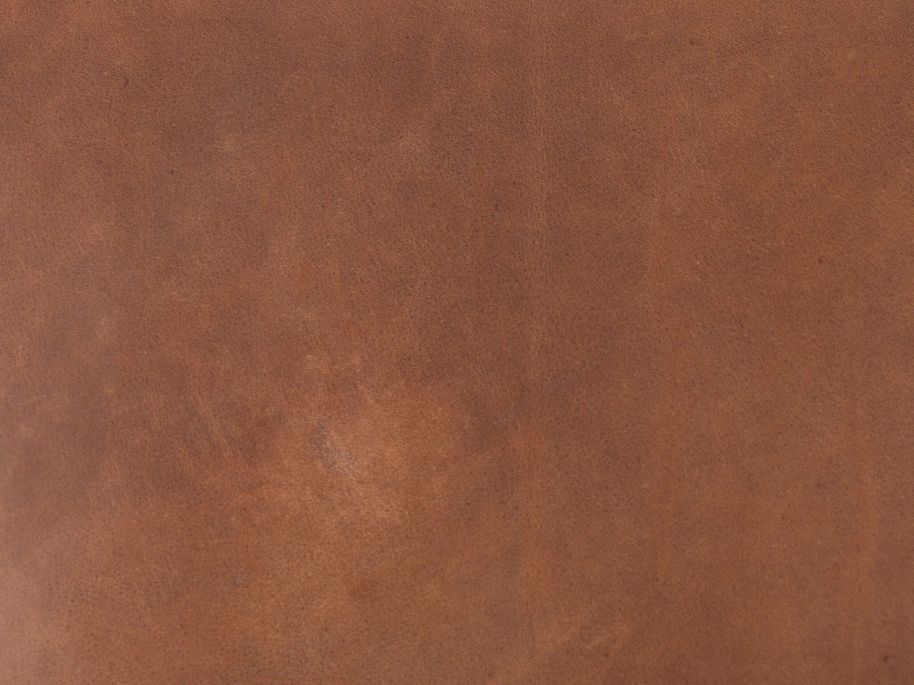 Cesar Accent Chair - Heirloom Sienna Leather Swatch by Four Hands