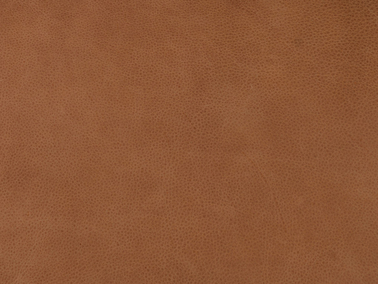 Palermo Cognac Leather by Four Hands