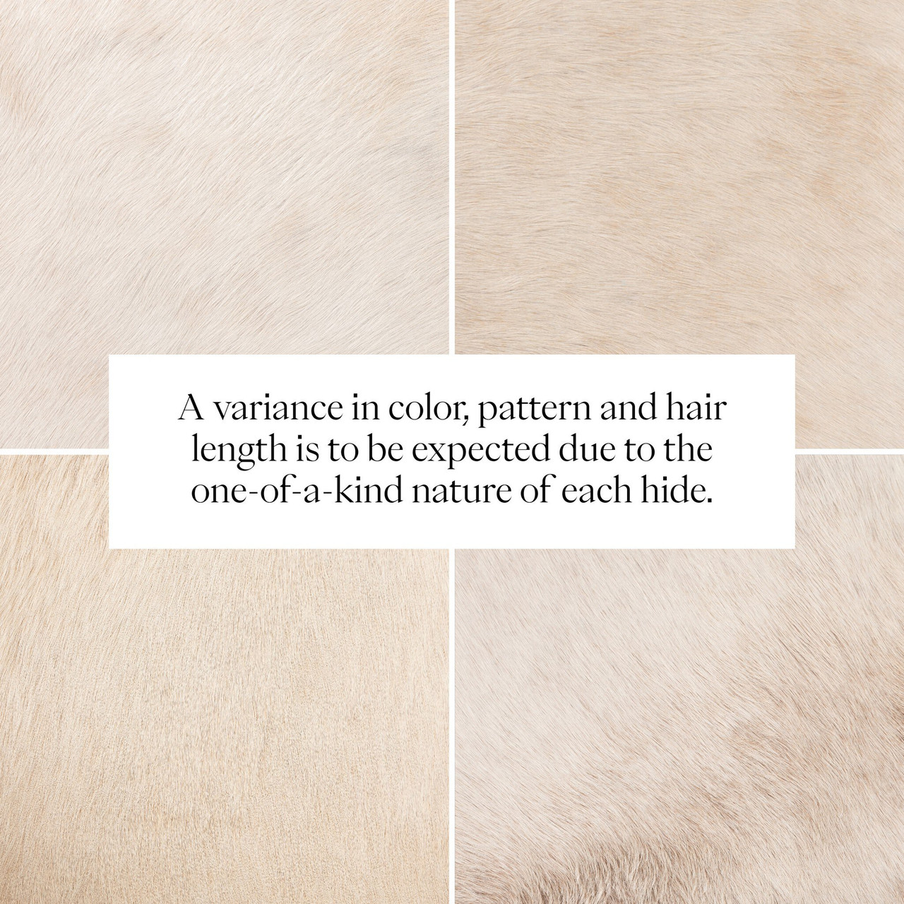 Light Hair on Hide Variance