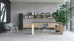Move Executive Sit-Stand Desk w/ Fixed Storage by Narbutas