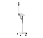 Professional Digital Facial Steamer + Ozone F800 by Silverfox of America
