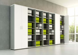 STORAGE CABINET | FILE SYSTEMS
