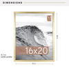 MCS Foundation 16x20 Poster Frame, Traditional Brass Photo Frame for Wall-Mounted Vertical or Horizontal Display