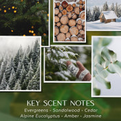 Havenwick Balsam & Amber 22oz Soy Blend Jar Candle, Long-Lasting Fragrance, Large Glass Jar Candle for Home & Gifting