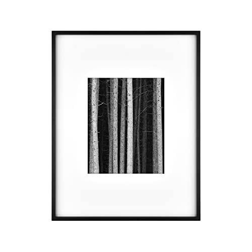 MCS Master & Co. Foundry Metal 14x18 Picture Frame 1-Pack, Black Finish, Wall-Mounted Vertical or Horizontal Display