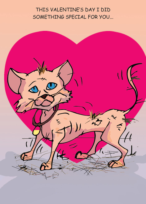 Shaved Pussy Valentines - 217 Funny ValentineÕs Day Cards 6 Pack