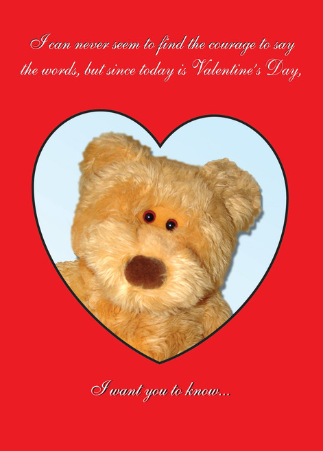 Bear with Herpes - 239 Funny Valentine̥s Day Cards 6 Pack