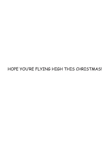 Flying High Christmas Card - 1604-1