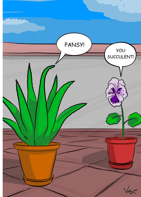 Pansy and Succulent - 440-1