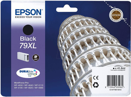 Epson Pisa Ink Cartridges - 79xl 