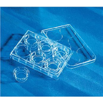 Corning 3472 6.5 mm Transwell Microplates Polyester Inserts, 3.0 µm pore size, 48 per case