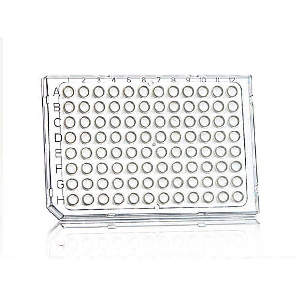 4titude FrameStar® 96 Well Semi-Skirted PCR Plates, clear PC frame, high profile, cut corner H1, 50 plates per case