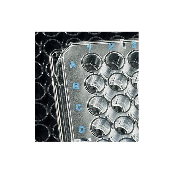 BrandTech® lipoGrade™ Immunoassay Microplates, Non-Sterile