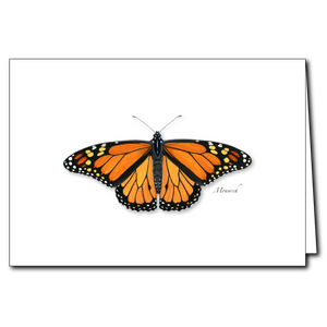 Butterfly Greeting Card