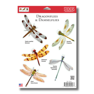 Dragonflies Sticker Assortment Dragonflies Sticker Assortment