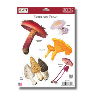 Fungi Sticker Assortment Fungi Sticker Assortment