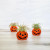 Jack O Lantern Air Plant