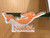 Orange Norfolk Mermaid Magnet