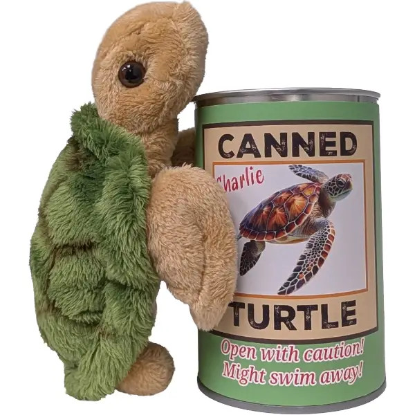 Turtle