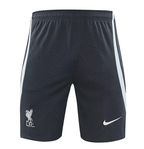 Liverpool 24/25 Men's Dark Gray Training Tank Top