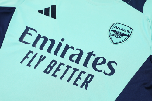 Arsenal 24/25 Men's Turquoise Training Shirt