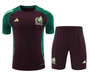 Mexico 2024 Men's Bordeaux Training Shirt