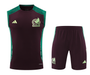 Mexico 2024 Men's Bordeaux Training Tank Top