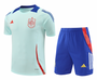 Spain 2024 Men's Light Blue Training Shirt