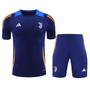 Juventus 24/25 Men's Navy Training Shirt