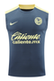CF América 24/25 Men's Blue-Gray Training Tank Top