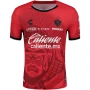 Atlas Guadalajara 24/25 Stadium Men's Third Shirt