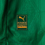 Palmeiras 25/26 Authentic Men's Home Shirt